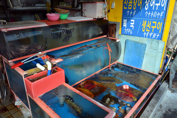 Grilled fish at Jagalchi Market