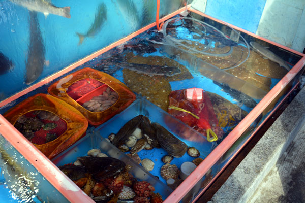 Grilled fish at Jagalchi Market