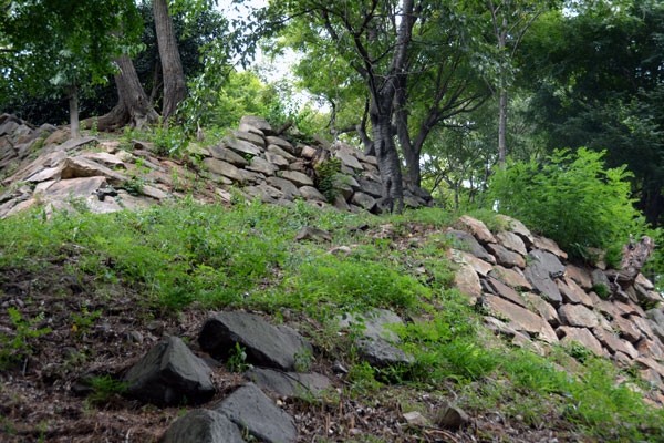 Ulsan Japanese Castle (Hakseong Park)