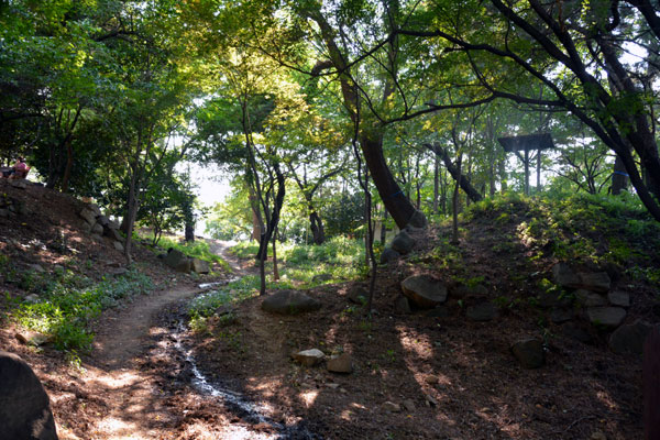 Ulsan Japanese Castle (Hakseong Park)