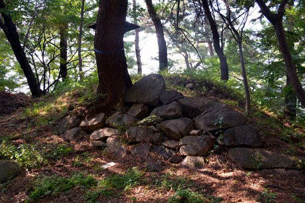 Ulsan Japanese Castle (Hakseong Park)