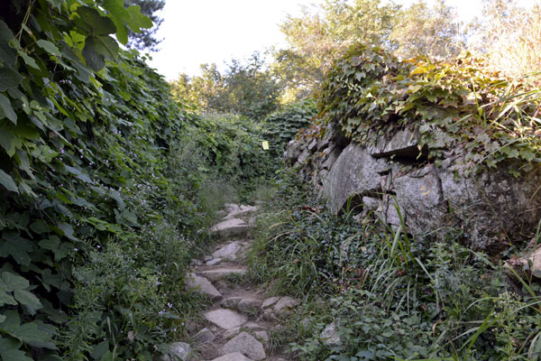 Bunsanseong Fortress