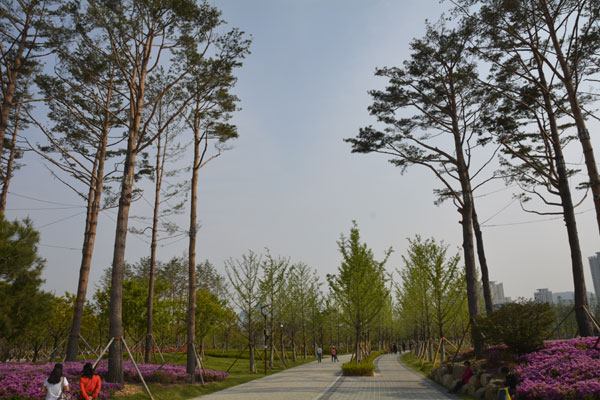 Busan Citizens' Park