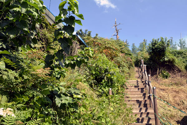 Jangansa Temple