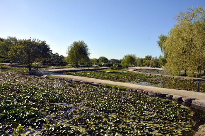 Gungnamji (Buyeo Seodong Park)