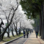 Jinhae Naval Headquarters