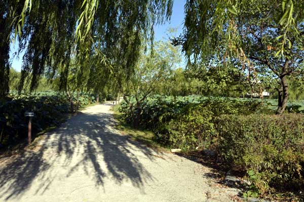 Gungnamji (Buyeo Seodong Park)