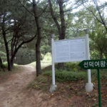 Royal Tomb of Queen Seondeok