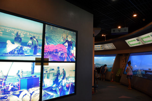 Gijang Fisheries Science Museum