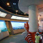 Gijang Fisheries Science Museum