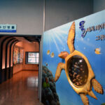 Gijang Fisheries Science Museum