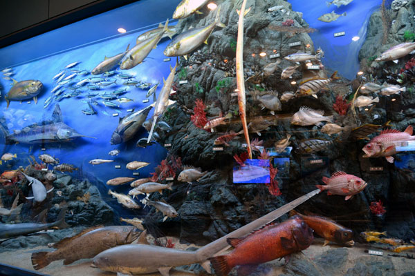 Gijang Fisheries Science Museum