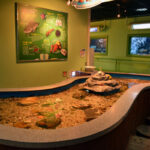 Gijang Fisheries Science Museum