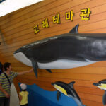 Gijang Fisheries Science Museum