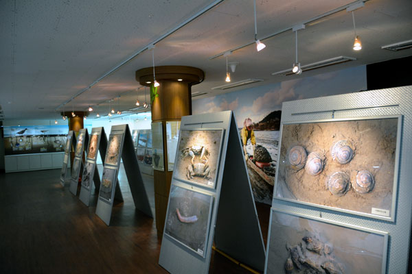 Gijang Fisheries Science Museum