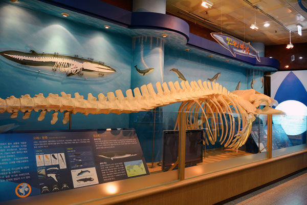 Gijang Fisheries Science Museum