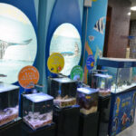 Gijang Fisheries Science Museum