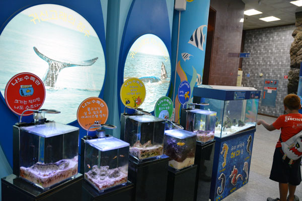 Gijang Fisheries Science Museum