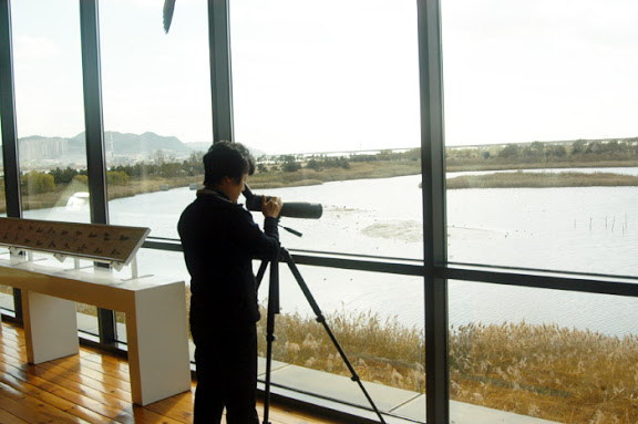 Nakdonggang Estuary Eco Center