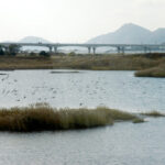 Nakdonggang Estuary Eco Center