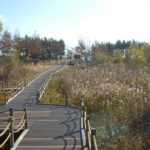 Nakdonggang Estuary Eco Center