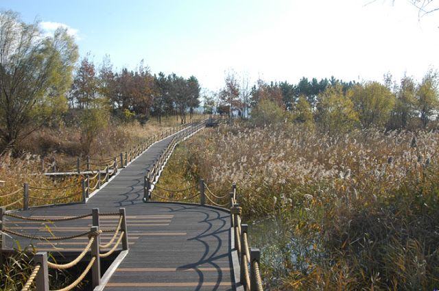 Nakdonggang Estuary Eco Center