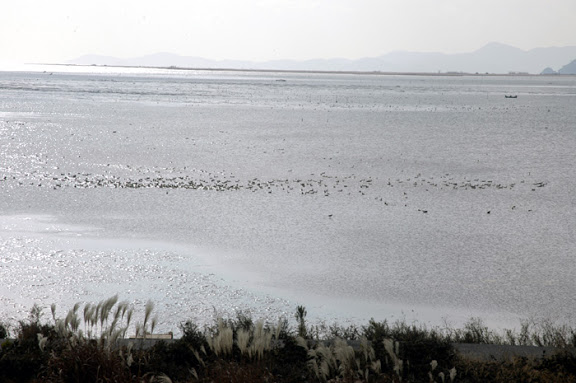 Nakdonggang Estuary Eco Center