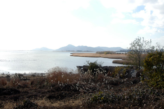 Nakdonggang Estuary Eco Center