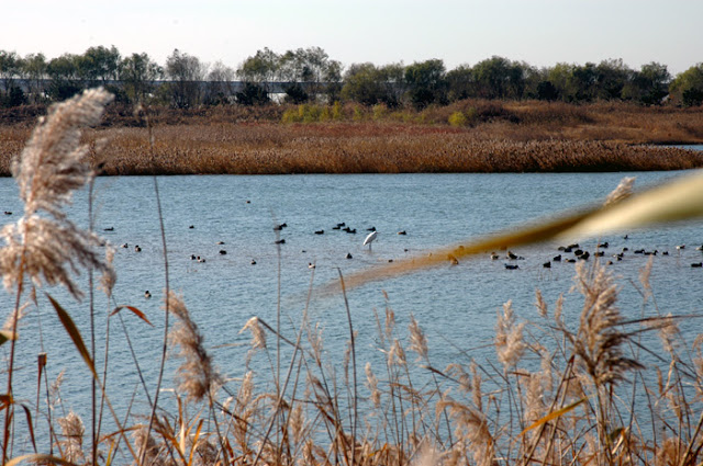 Nakdonggang Estuary Eco Center