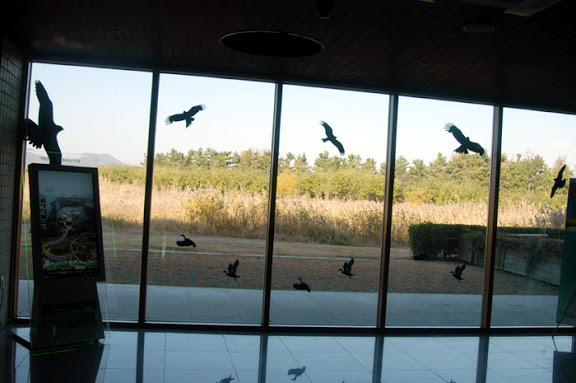 Nakdonggang Estuary Eco Center