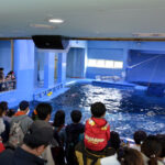 Jangsaengpo Whale Museum