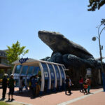 Jangsaengpo Whale Museum