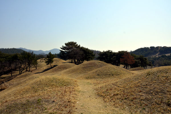 불로동고분군