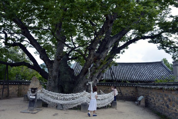 안동하회마을 삼신당