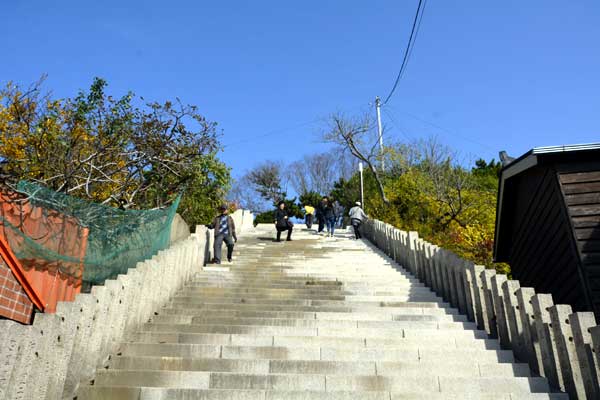 구룡포 일본인가옥거리