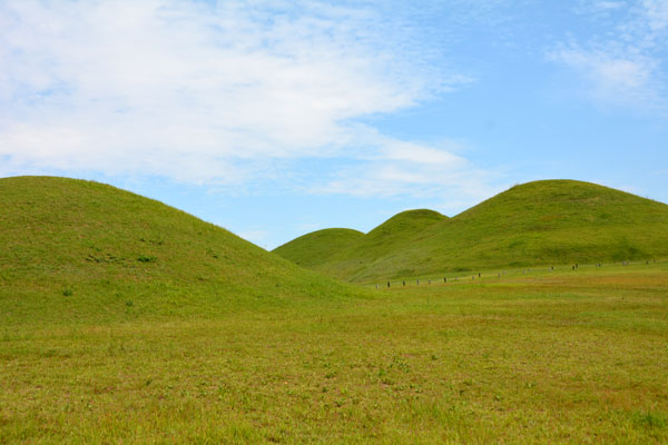 松鶴洞古墳群