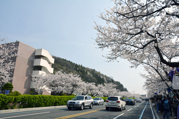 해군사관학교