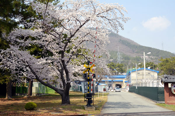 진해해군사령부