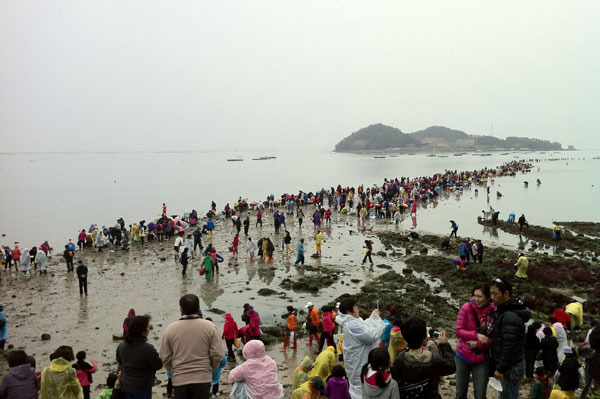 珍島海割れ祭り