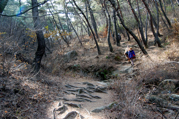 경주 남산 불곡 마애여래좌상