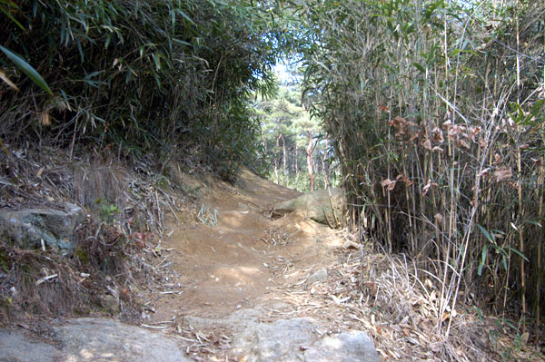 경주 남산 불곡 마애여래좌상