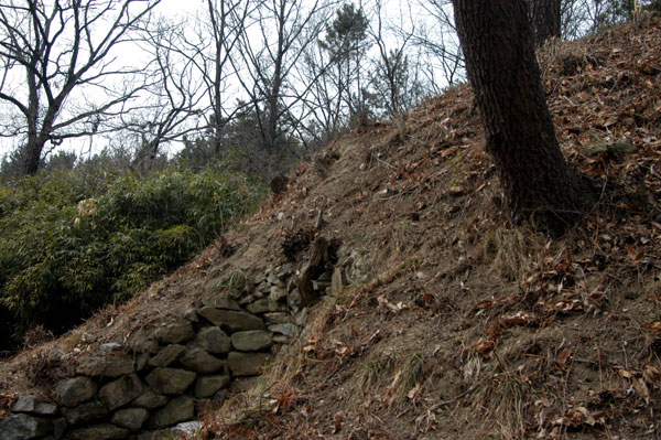 경주 장산토우총