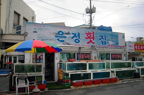 경주 감포항