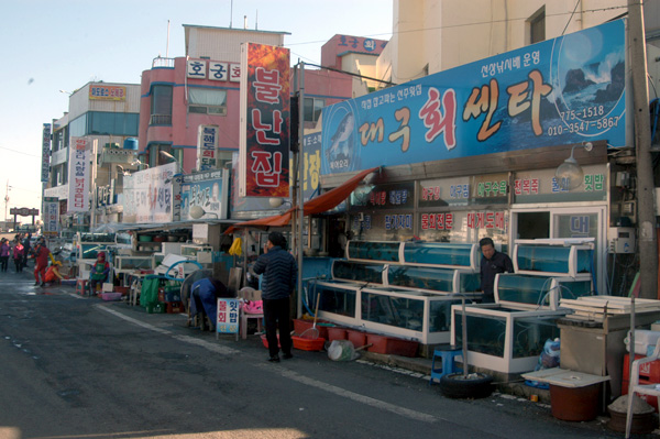 경주 감포항