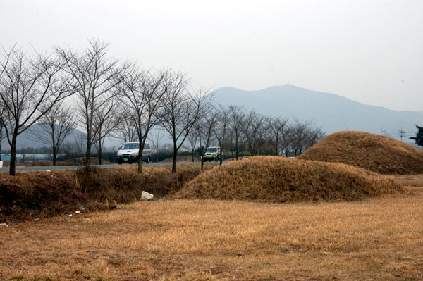 경주금척리고분군