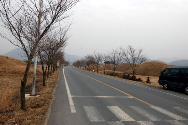 경주금척리고분군