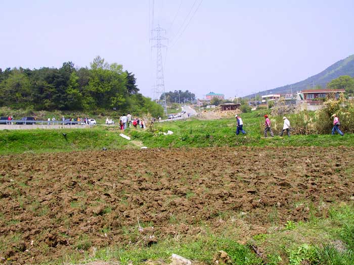 경주 효현동 삼층석탑