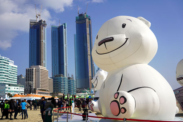 제 32 회 북극곰 수영대회