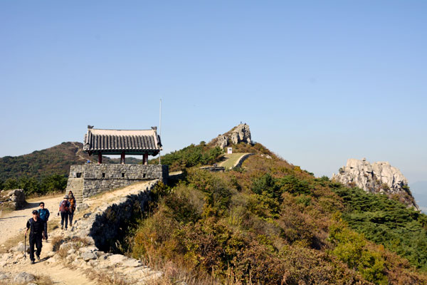 金井山と金井山城