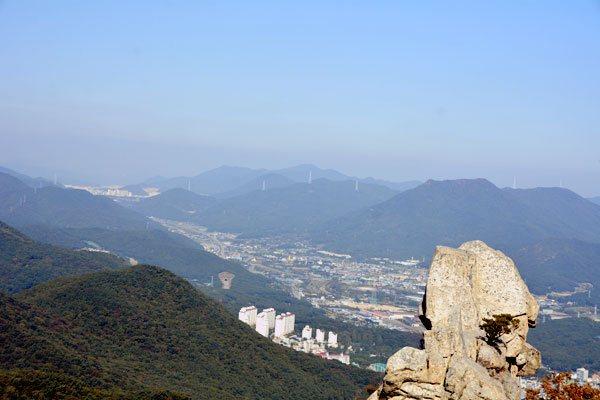 金井山と金井山城